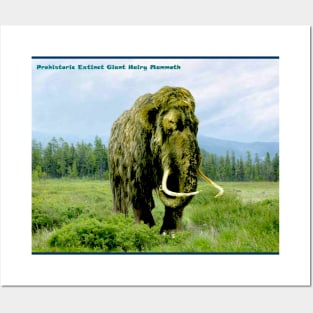 Prehistoric Mammoth Giant Extinct Hairy Elephant Posters and Art